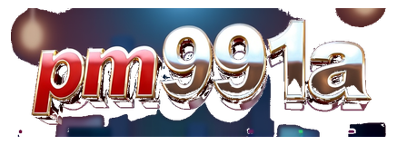 pm991a logo